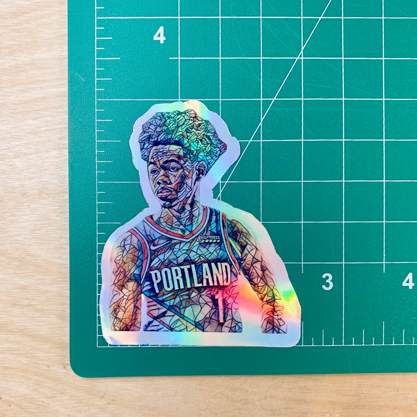 Holographic Ant Simons Sticker