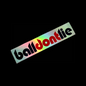 Holographic Ball Don’t Lie Sticker